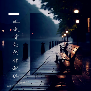 还是会突然想起你