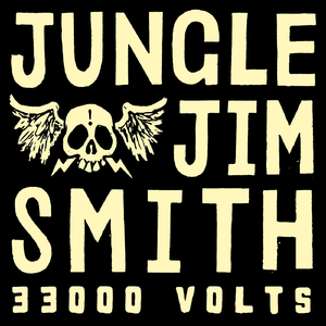 33000 Volts