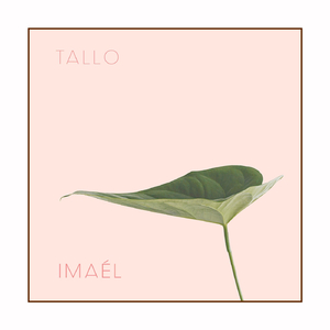 Tallo