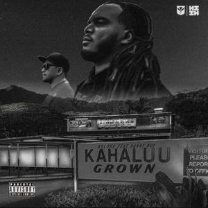 Kahalu'u Grown (feat. Danny Roy) (Radio Edit)