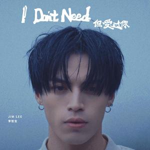 I Don't Need 但爱过你