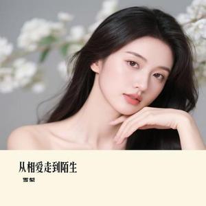 从相爱走到陌生 (雪梨 Remix)