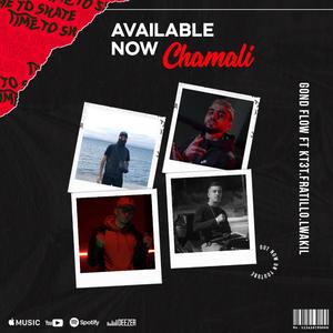 Chamali (feat. LWAKIL, Fratelo & K3t Savage)