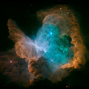 Freedom in the Falling