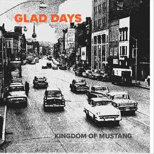 The Wrong Plane Home