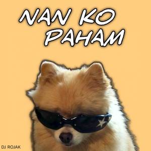 NAN KO PAHAM REMIX