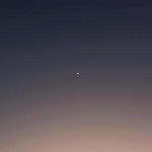 i've loved you for a long time