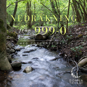 120-64 (Porlande bäck)