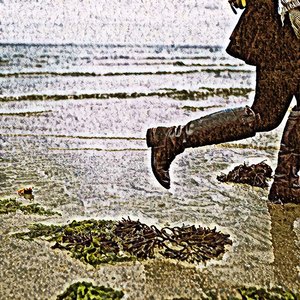 I'm the King of New York