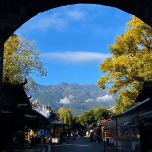孤雏（Cover AGA）（Cover 邓岳章）