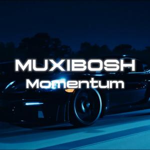 Momentum