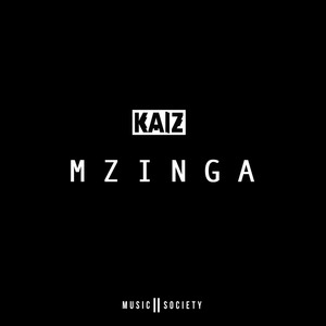 Mzinga V