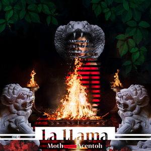 La Llama