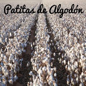 Patitas de Algodón