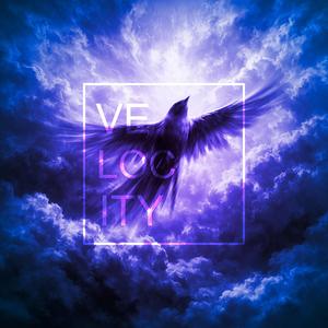 Velocity