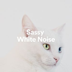 Kittenish White Noise