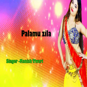 Palamu zila