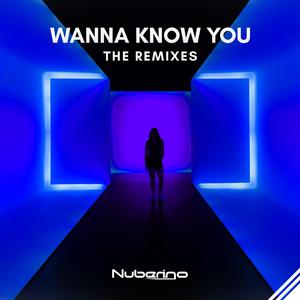 Wanna Know You (AFTRWRDS Remix)