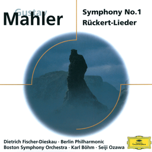 Symphony No. 1 in D Major:2. Kräftig bewegt