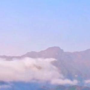 梦里都会梦到你
