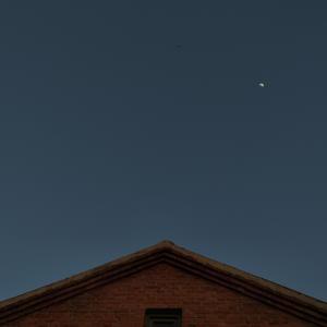 无从驯服的过往