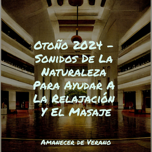 Alma Enigmática Sincronizada