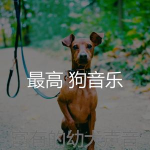 温和训练你的狗梦想