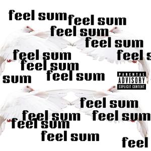 feel sum