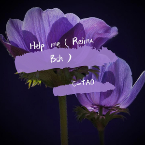 Bsh-Help me（Reimx Bsh）（C-TAO remix）
