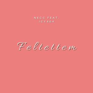 Feltettem (feat. IcY404)
