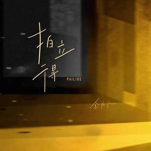 拍立得 (DJ婷婷版)0.8x版