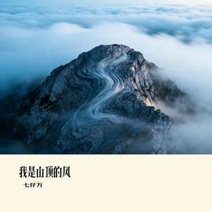 我是山顶的风