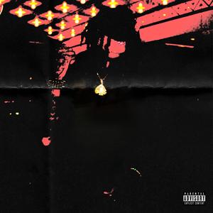 Lights Camera Action (Live)