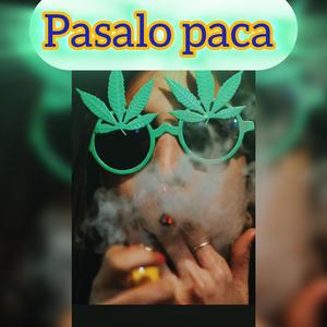 Pasalo paca
