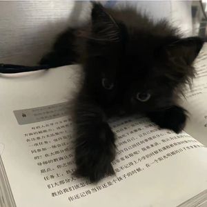 追寻未来