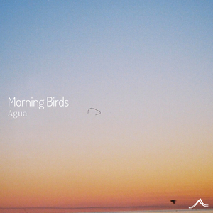 Morning Birds