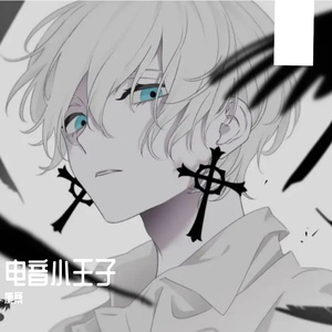 电音小王子(电音小子版)