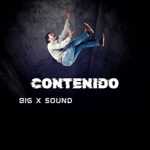 Contenido