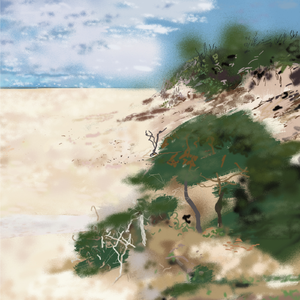 Song for Plain Remains