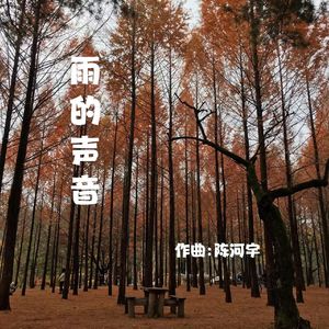 雨的声音(纯音乐)