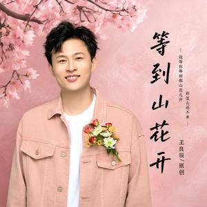 等到山花开