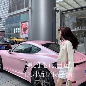 爱的飞行日记 (DJ版)