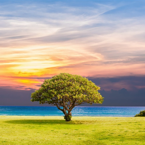 在梦想的彼方 无畏地闯荡