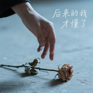 后来的我才懂了