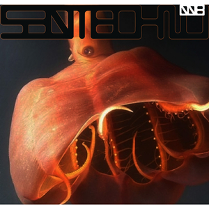 Semicircle (The Munk Machine Remix)