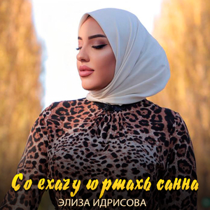 Со ехачу юртахь санна