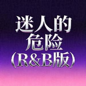 迷人的危险 (R&B版) (Remix)