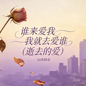 谁来爱我我就去爱谁（逝去的爱）