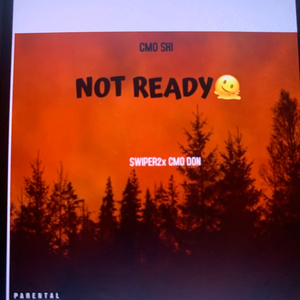 Not ready (feat. CMO Don)
