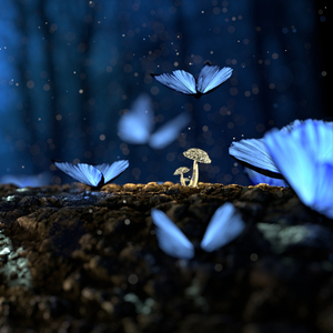 Alice in Wonderland (Cinematic Emotional)